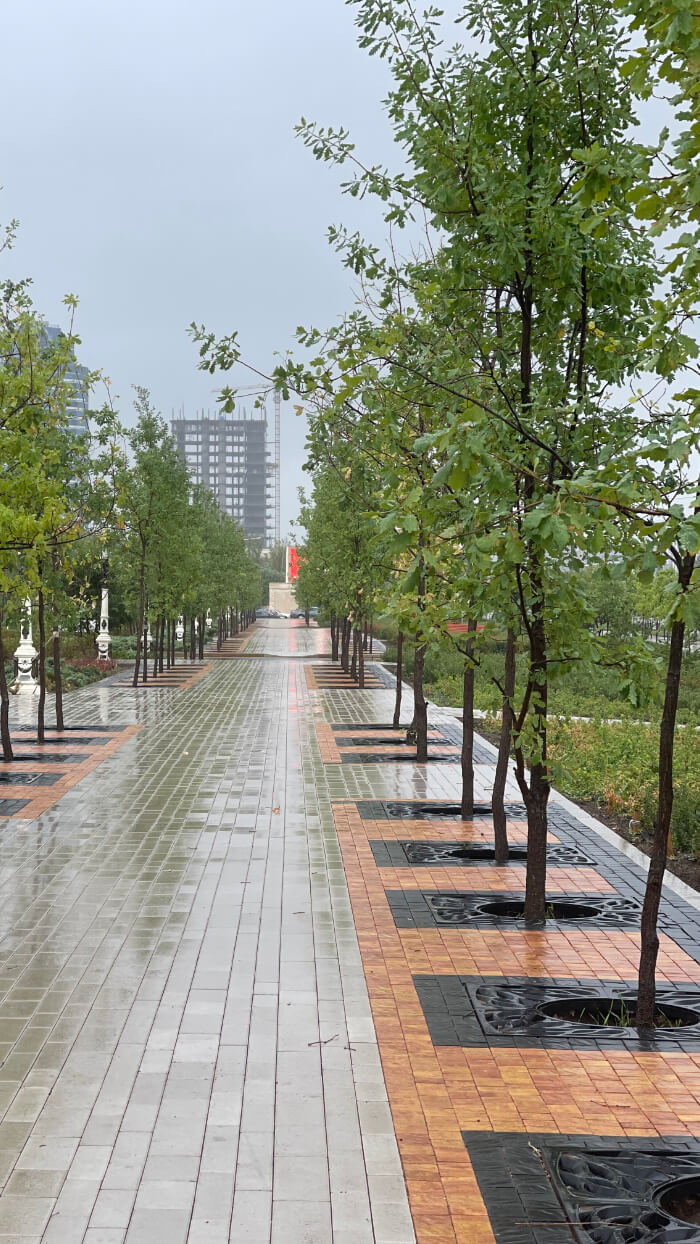 Приствольная решетка для дерева ZKING CRUST 1.2х1.2м Черная в Невинномысске фото