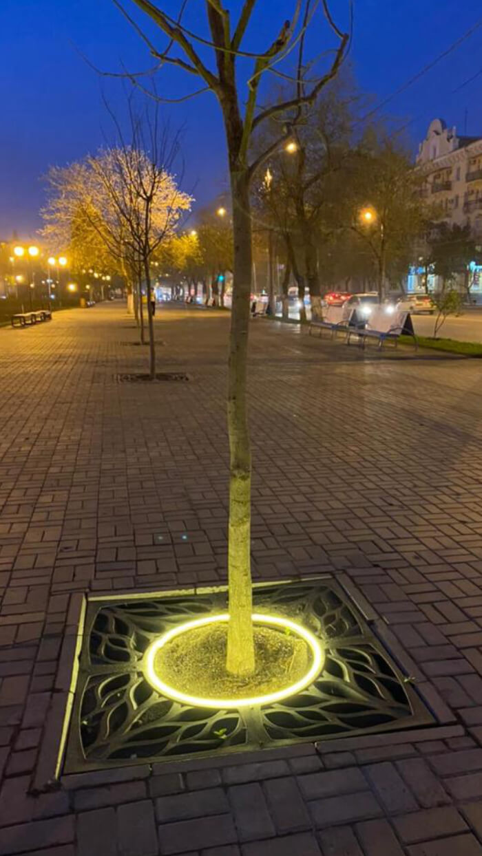 Приствольная решетка для дерева ZKING CRUST 1.2х1.2м Черная в Невинномысске фото